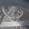 náhled vltava_20120716-165348.prev.jpg