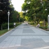 náhled marijanske_lazne_20130722_190636.prev.jpg