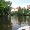 zvětšit náhled zlata_koruna_20140721_093656.prev.jpg