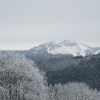 náhled pancir_20170107_105320.prev.jpg