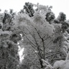 náhled pancir_20170107_110034.prev.jpg