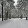 náhled pancir_20170107_110046.prev.jpg