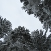 náhled pancir_20170107_110056.prev.jpg