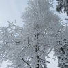 náhled pancir_20170107_110944.prev.jpg