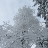 náhled pancir_20170107_110954.prev.jpg