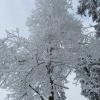 náhled pancir_20170107_111006.prev.jpg