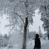 náhled pancir_20170107_111008.prev.jpg