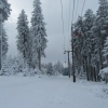 náhled pancir_20170107_111228.prev.jpg