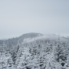 náhled pancir_20170107_111608.prev.jpg