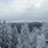 náhled pancir_20170107_113004.prev.jpg