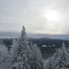 náhled pancir_20170107_114506.prev.jpg