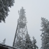 náhled pancir_20170107_132210.prev.jpg