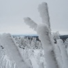 náhled pancir_20170107_133208.prev.jpg
