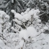 náhled pancir_20170107_140234.prev.jpg