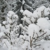 náhled pancir_20170107_140244.prev.jpg