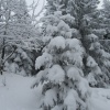 náhled pancir_20170107_140334.prev.jpg