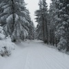 náhled pancir_20170107_140342.prev.jpg