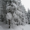 náhled pancir_20170107_140442.prev.jpg