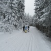 náhled pancir_20170107_141046.prev.jpg