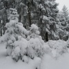 náhled pancir_20170107_141136.prev.jpg