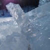 zvětšit náhled krkavec_20170121_121445.prev.jpg