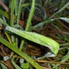 zvětšit náhled sylvan_20170923_072430.prev.jpg
