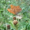 náhled la_rocca_20180804_090758.prev.jpg