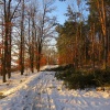 zvětšit náhled zapad_slunce_radcice_20190204_162730.prev.jpg