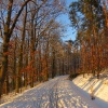 zvětšit náhled zapad_slunce_radcice_20190204_163012.prev.jpg
