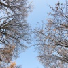 zvětšit náhled zapad_slunce_radcice_20190204_163216.prev.jpg