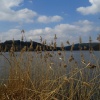 náhled zamek_zinvkovy_20190406_103730.prev.jpg