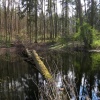 náhled zamek_zinvkovy_20190406_145044.prev.jpg