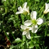 náhled prameny_20190510_184014.prev.jpg