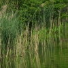 náhled sveradice_chanovice_20190525_172050.prev.jpg