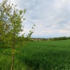 náhled sveradice_chanovice_20190525_175746.prev.jpg