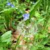 náhled sveradice_chanovice_20190526_141516.prev.jpg