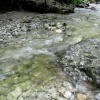 náhled slovesnky_raj_20190822_095352.prev.jpg