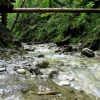 náhled slovesnky_raj_20190822_102156.prev.jpg