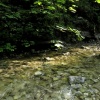 náhled slovesnky_raj_20190822_103048.prev.jpg
