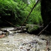 náhled slovesnky_raj_20190822_110206.prev.jpg