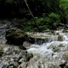 náhled slovesnky_raj_20190822_112040.prev.jpg
