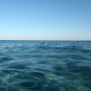 náhled cagliary_villasimius_beach_20190930_174620.prev.jpg